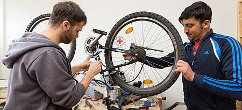 Zwei junge Männer reparieren gemeinsam ein Fahrrad.