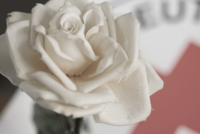 Gesprächskreis Trauer