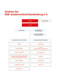 Organigramm des DRK-Landesverband Brandenburg e.V.